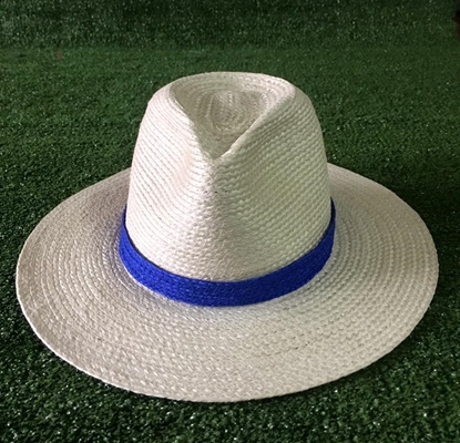 Picture of White with Color Line Panama Parn Sorn Narai Hat