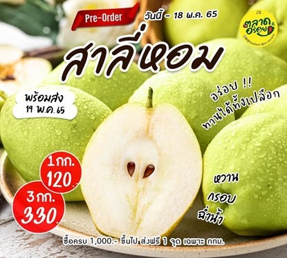 Picture of สาลี่หอม (3 กก.) เนื้อแน่น หวาน กรอบ อร่อยทานได้ทั้งเปลือก